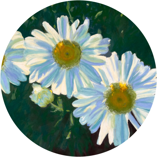 pastel of white daisies