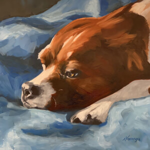 dog-blanket-oil.jpeg