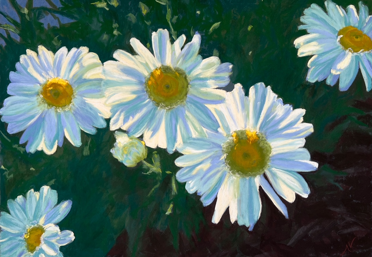 daisies.jpeg