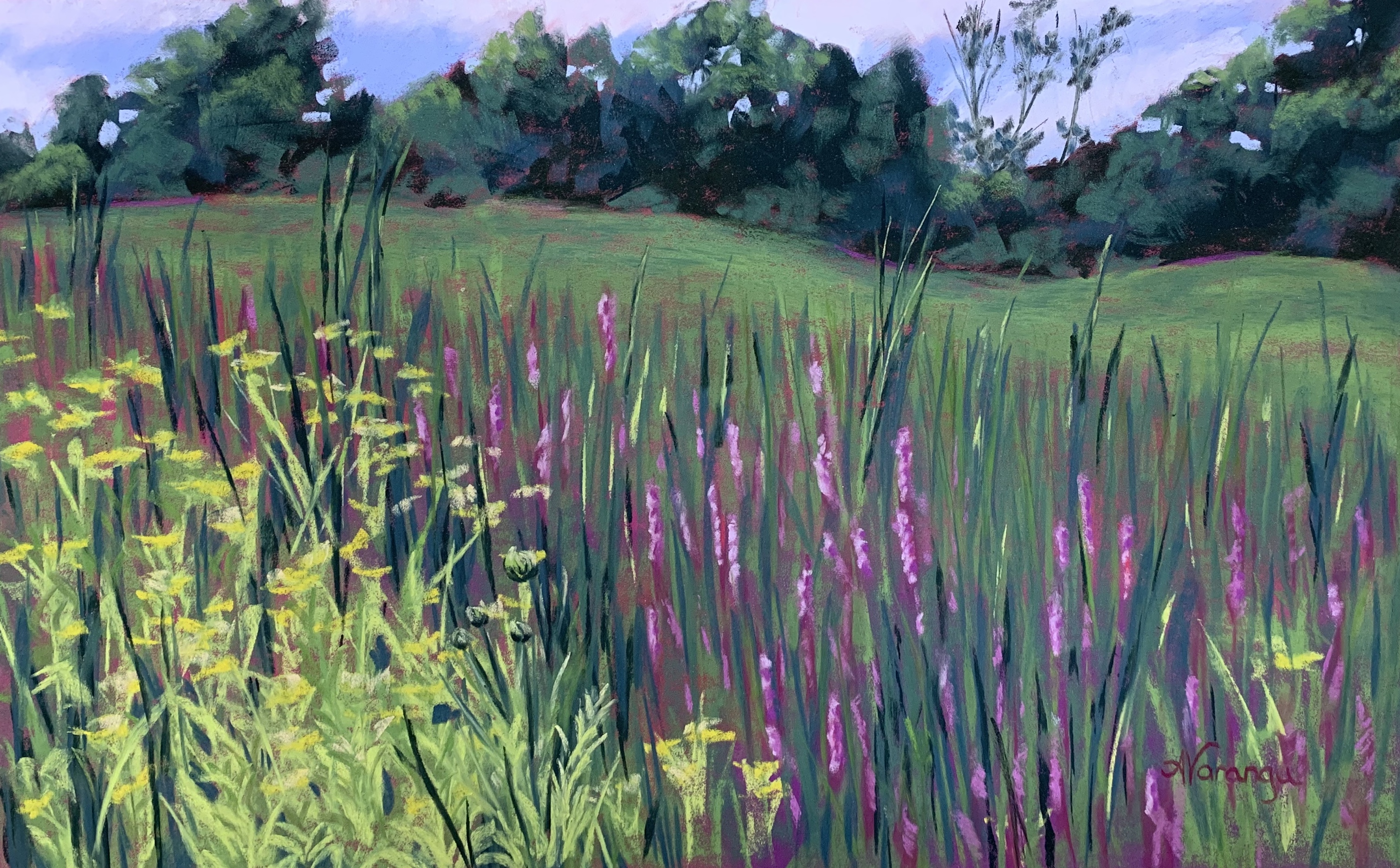 lavender-field-pastel.jpeg