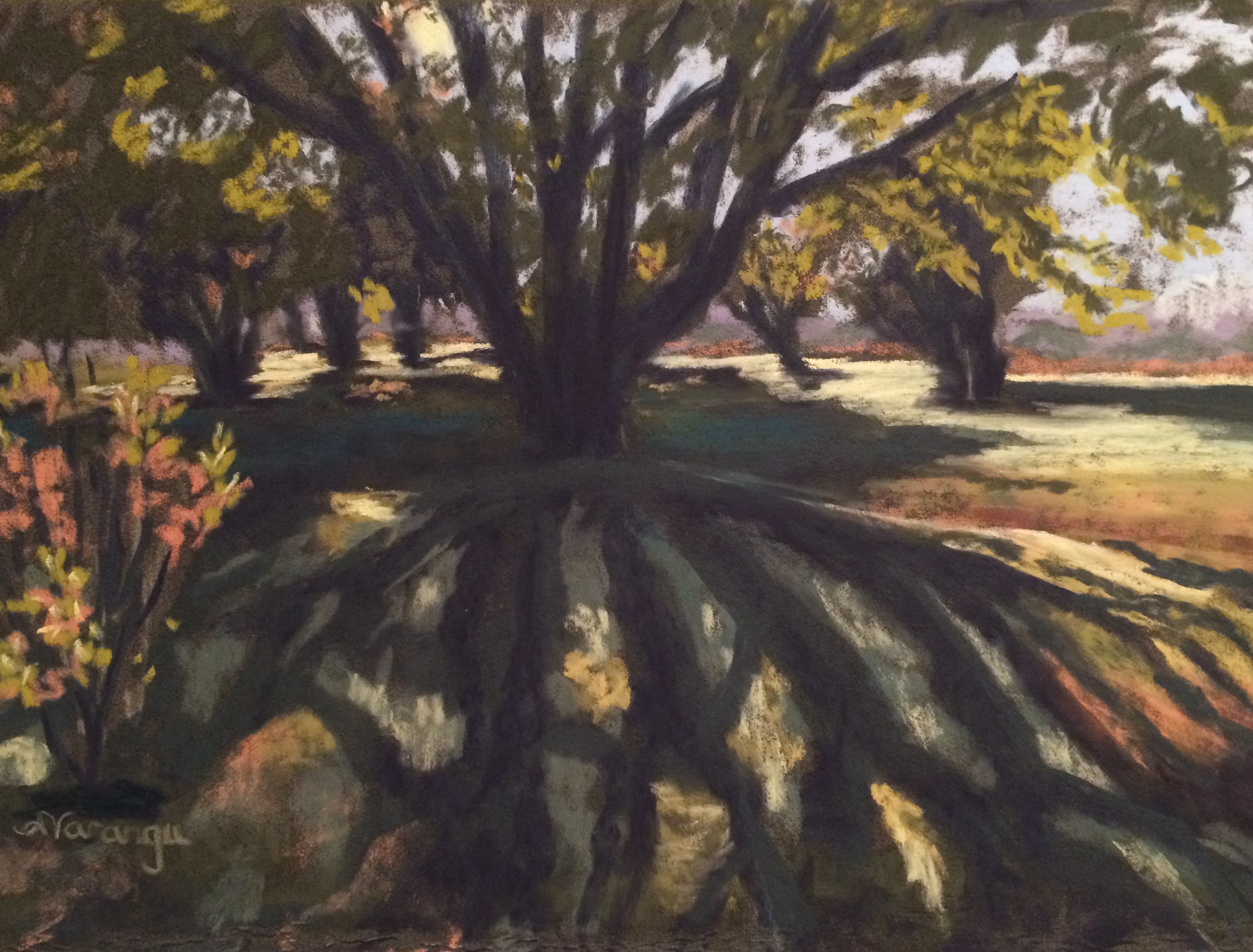 tree-shadow-pastel.JPG