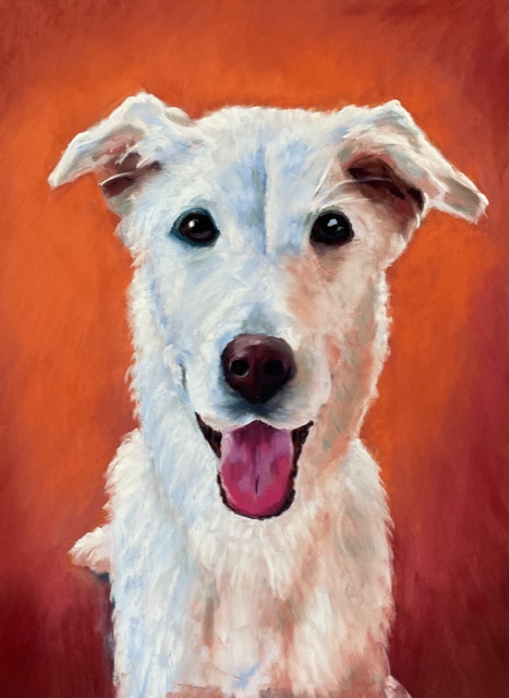 white-dog-pastel.jpeg