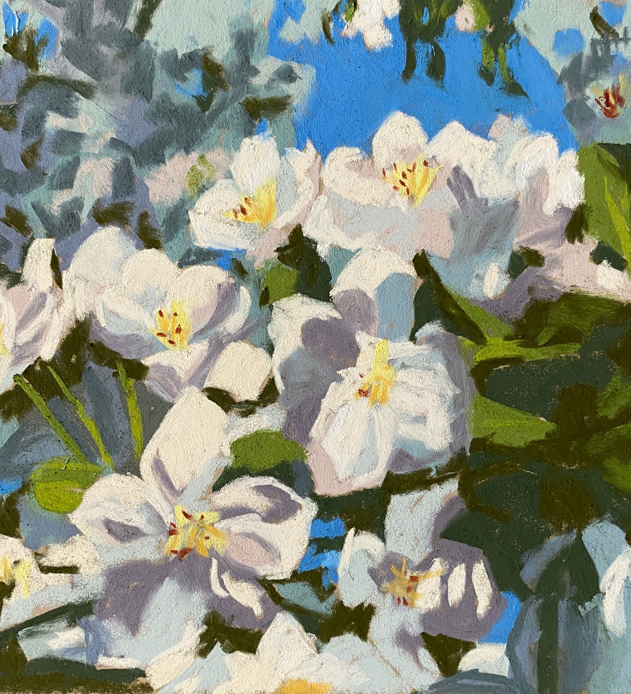 white-flowers-pastel.jpeg